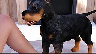 xnxx 5
